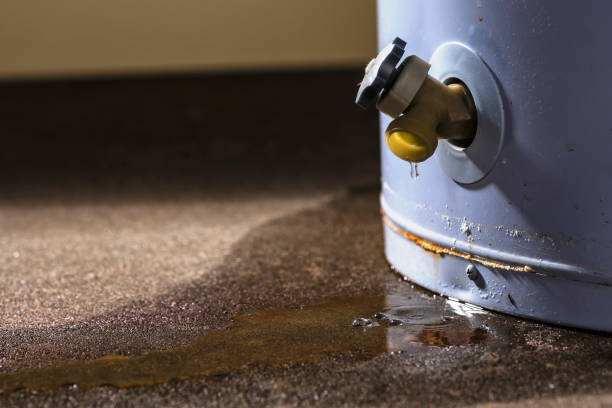 Best Residential water damage restoration  in Beechwood, MS
