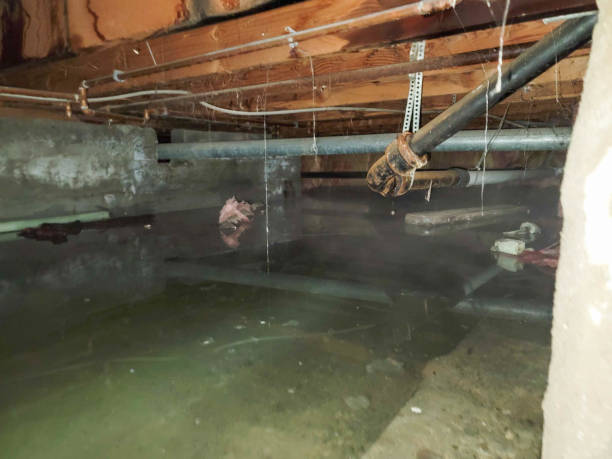 Best 24-hour water damage restoration  in Beechwood, MS