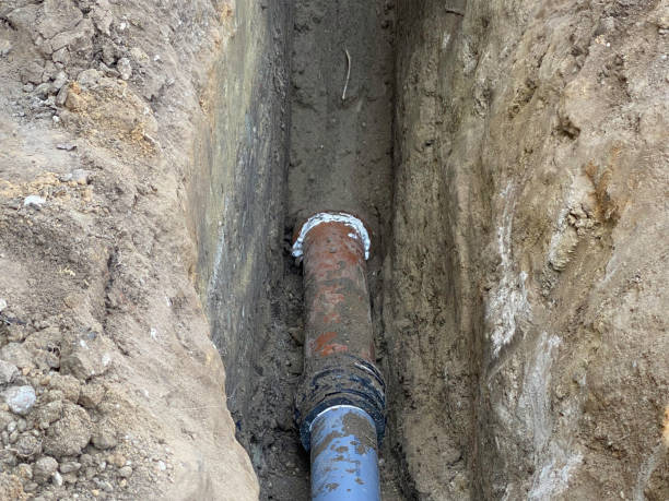 Best Flood restoration services  in Beechwood, MS