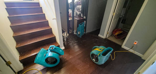 Local water damage restoration in MS