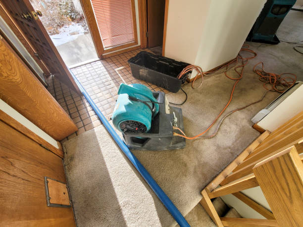 Step-by-Step Water Damage Restoration Procedure