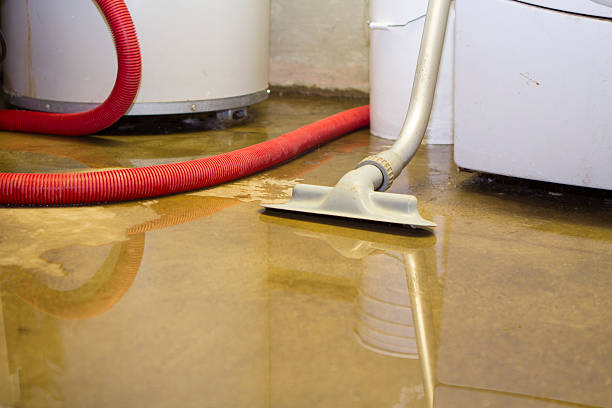 Best Water damage contractors near me  in Beechwood, MS