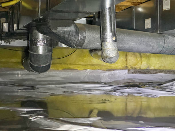 Best Local water damage restoration  in Beechwood, MS