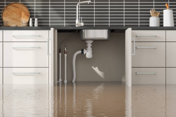 Local water damage restoration in MS