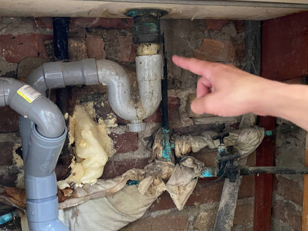Best Carpet water damage restoration  in Beechwood, MS
